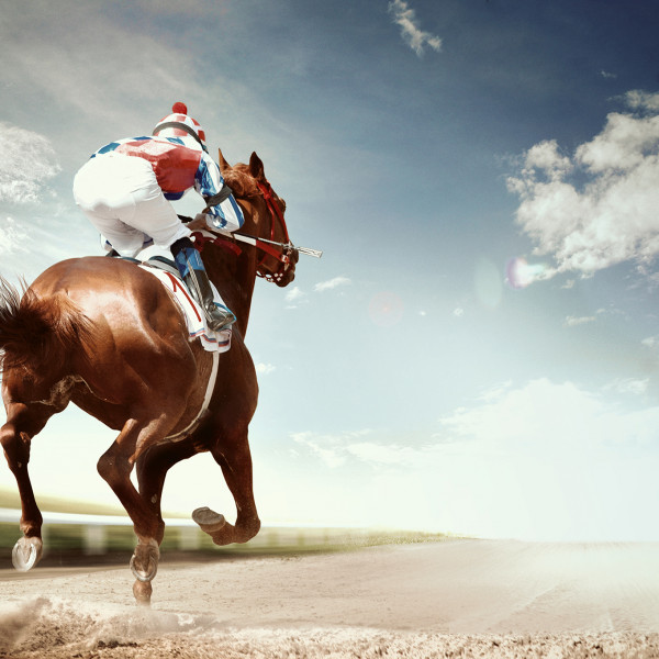 Apartmani Bellavista, Villa Dalmatia Dubrovnik