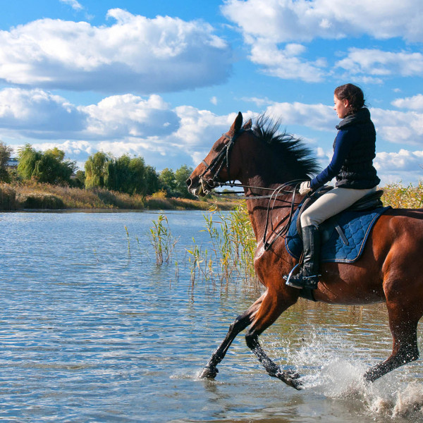 Villa Ragusa, Villa Dalmatia Dubrovnik